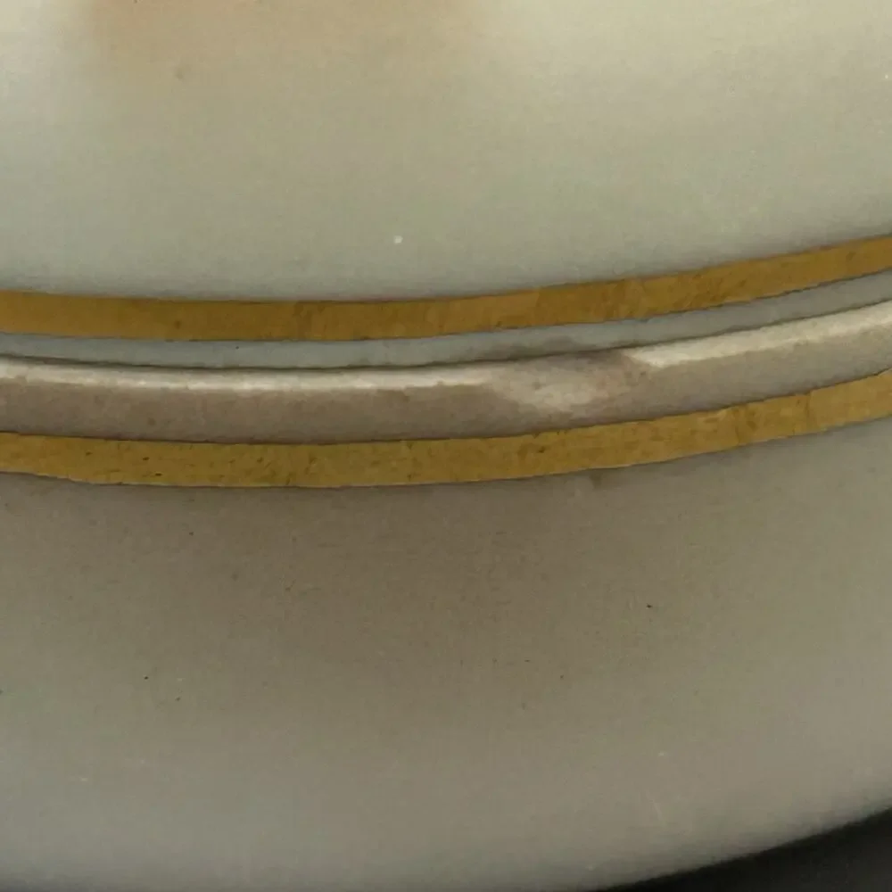Royal Rudolstadt Hair Receiver and Trinket Box Hand Painted Prussia Vanity READ